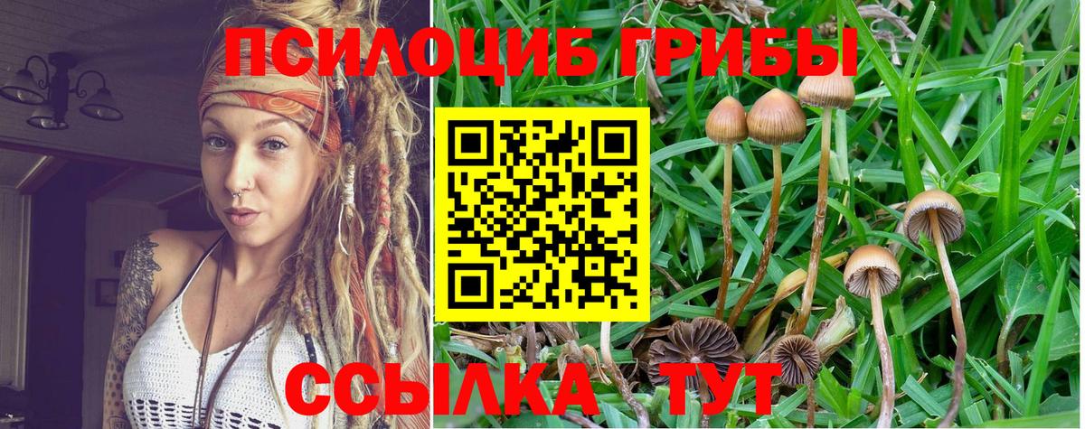 Галлюциногенные грибы прущие грибы  Вход с VPN  Юрга 