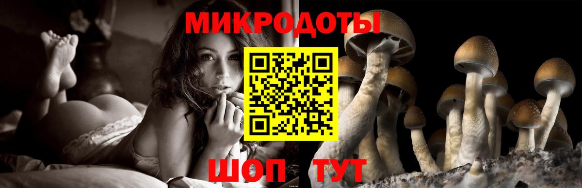 Галлюциногенные грибы ЛСД Юрга